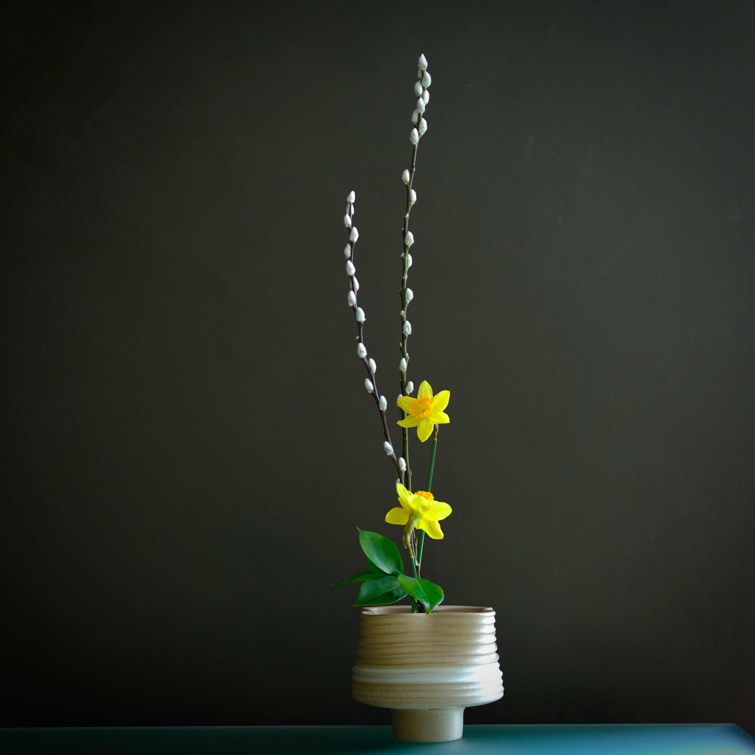 Spazio Botanico - 🌼Nuove creazioni 🌼 Vi presentiamo le Cloche Floreali,  piccoli giardini composti da fiori secchi o stabilizzati sotto vetro. Una  creazione senza tempo dove la bellezza rimane intatta.. Un tocco