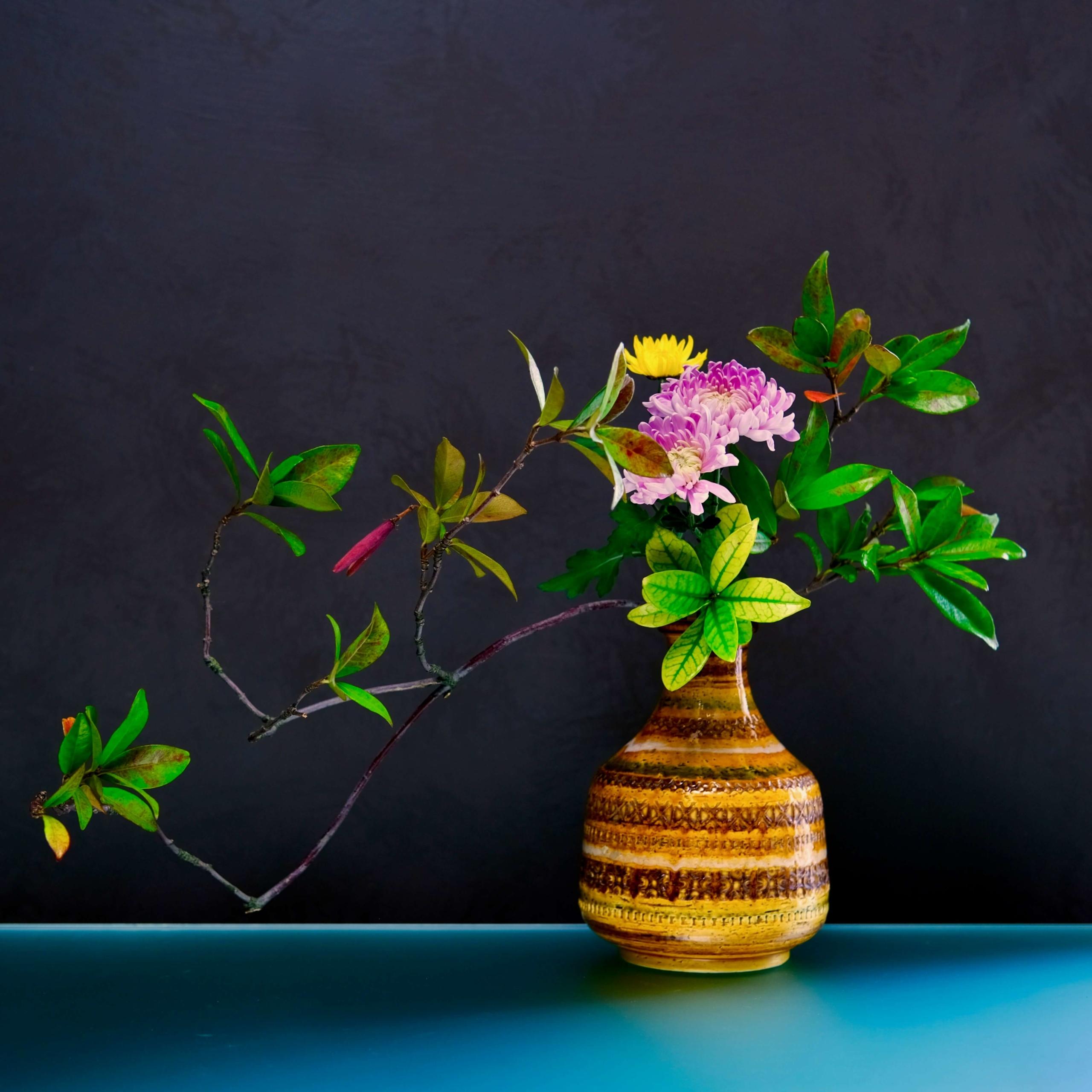 Spazio Botanico - 🌼Nuove creazioni 🌼 Vi presentiamo le Cloche Floreali,  piccoli giardini composti da fiori secchi o stabilizzati sotto vetro. Una  creazione senza tempo dove la bellezza rimane intatta.. Un tocco